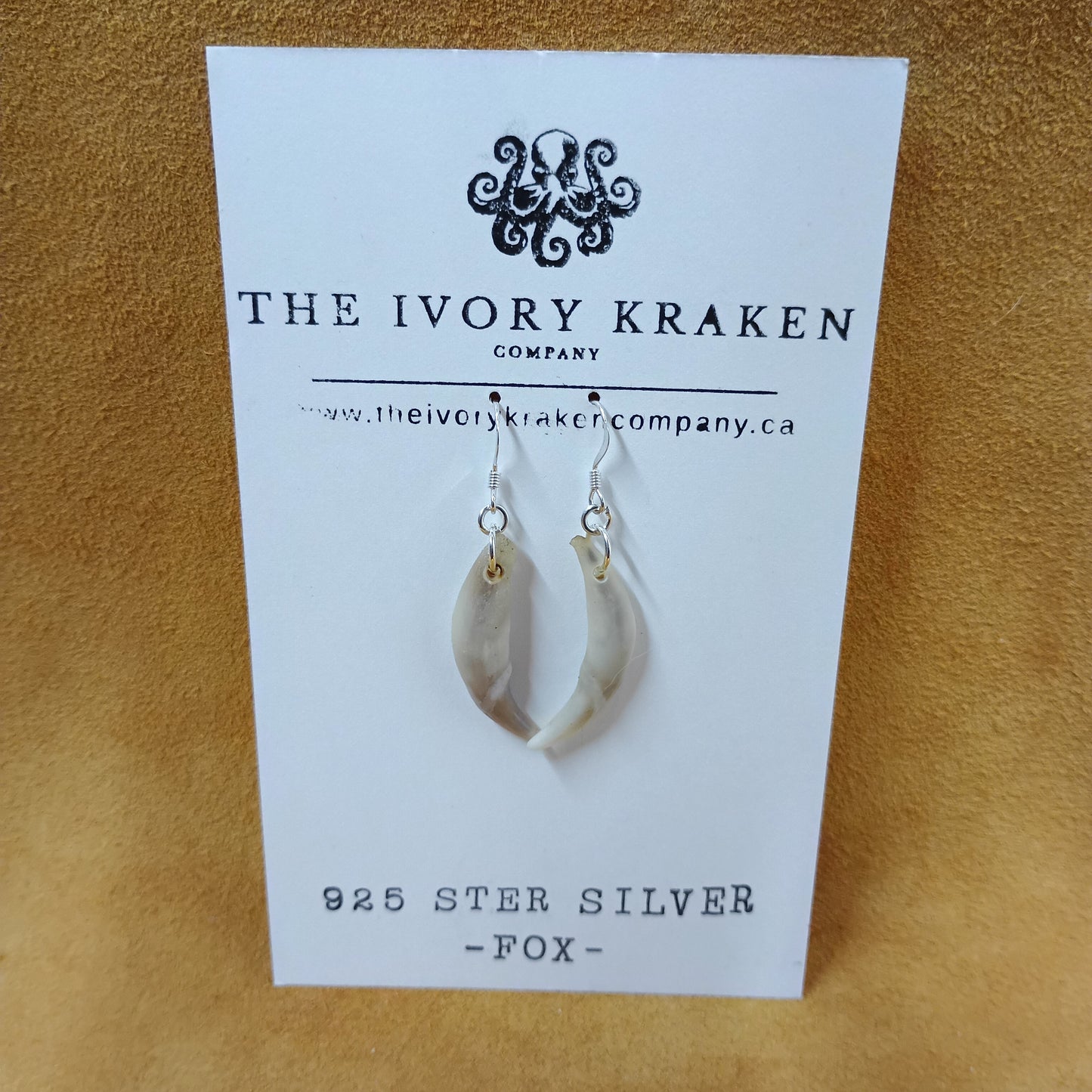 Fox Teeth Earrings - 925 Sterling Silver (A)