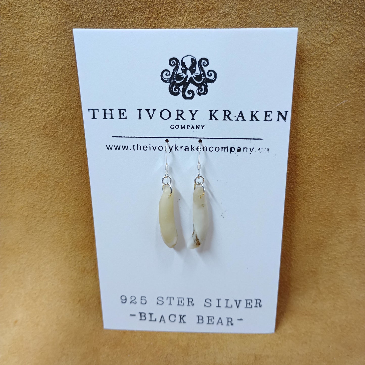 Black Bear Teeth Earrings - 925 Sterling Silver (B)