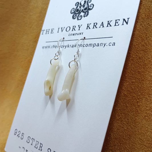 Black Bear Teeth Earrings - 925 Sterling Silver (C)