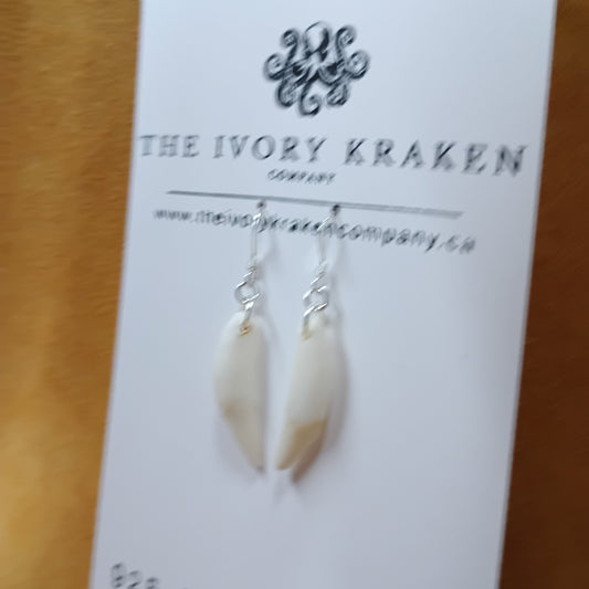 Raccoon Teeth Earrings - 925 Sterling Silver (A)