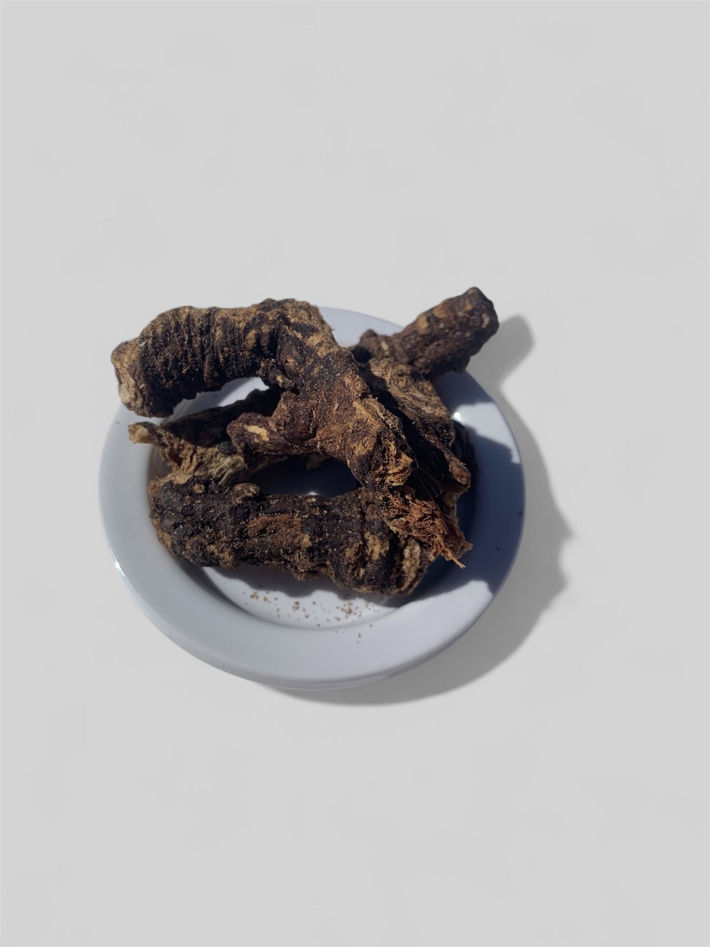 Bear Root (Osha)