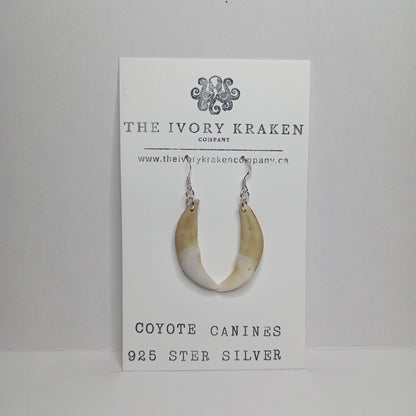 Coyote Canines - A-01 - 925 sterling silver