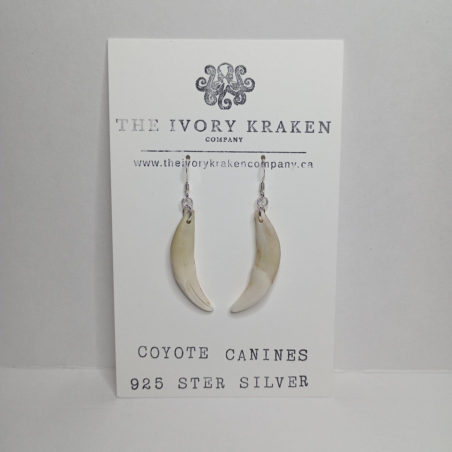 Coyote Canines - A-02 - 925 sterling silver