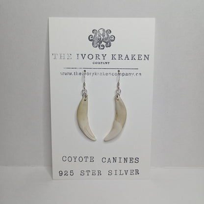Coyote Canines - A-02 - 925 sterling silver