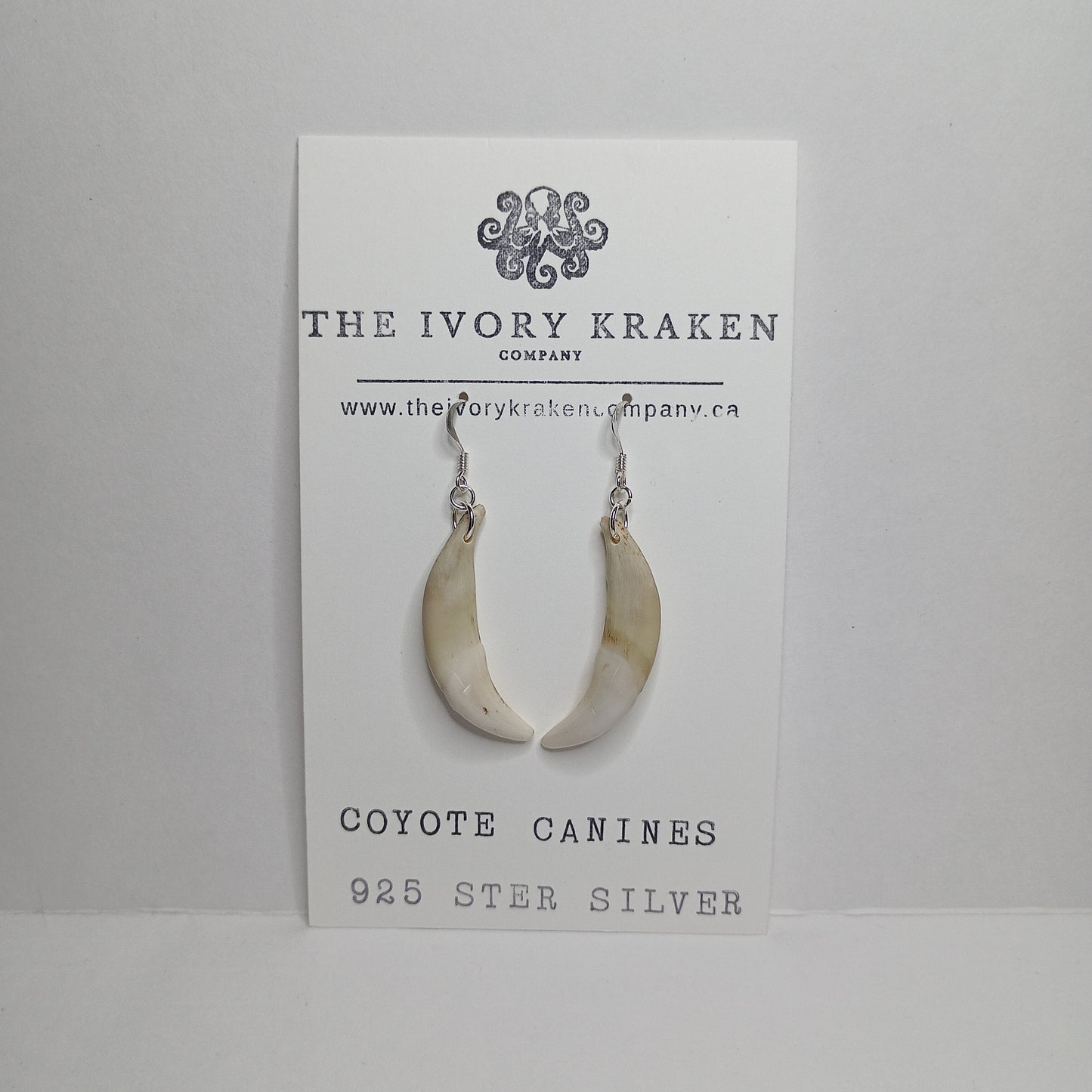 Coyote Canines - A-03 - 925 sterling silver