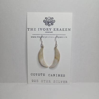 Coyote Canines - A-03 - 925 sterling silver