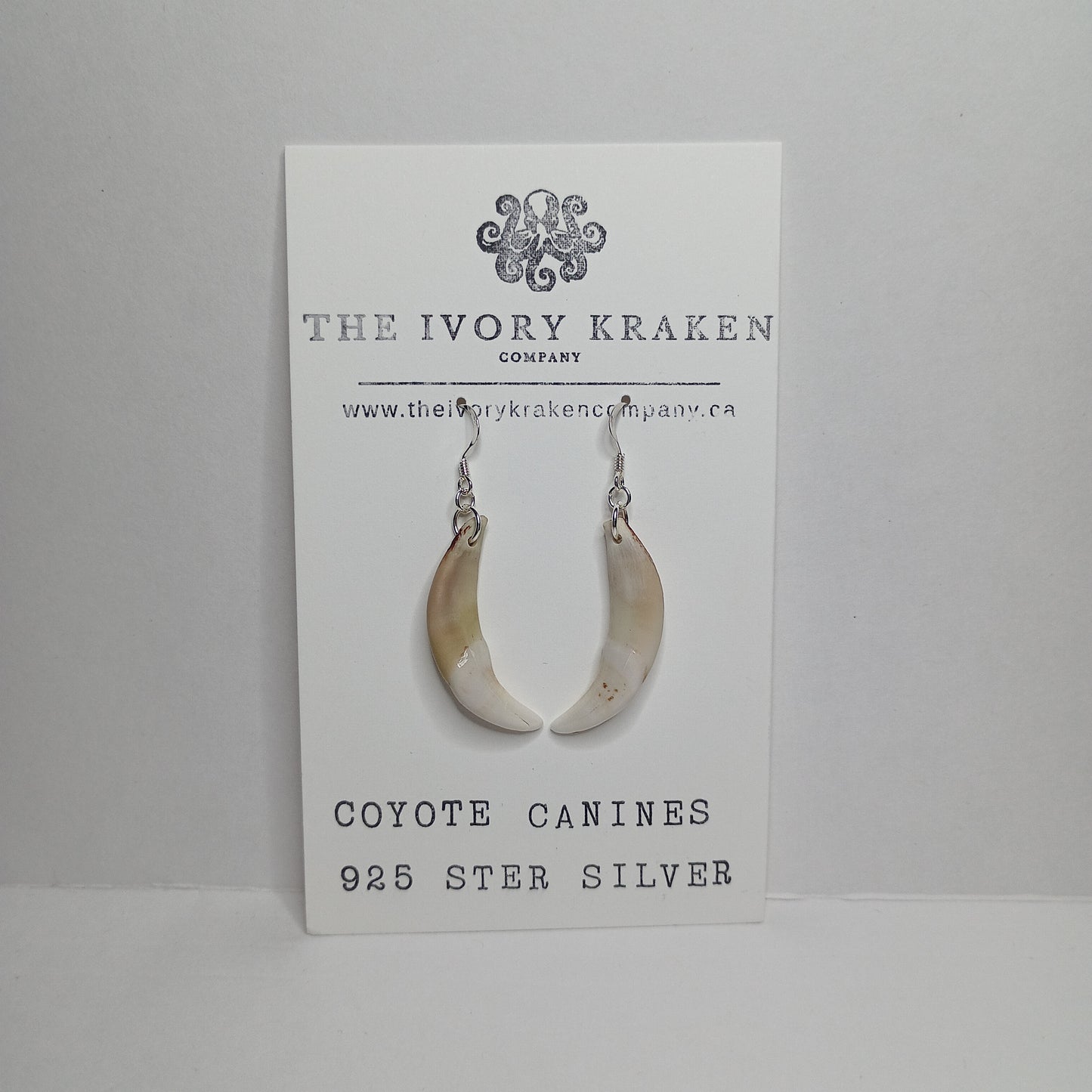 Coyote Canines - A-05 - 925 sterling silver