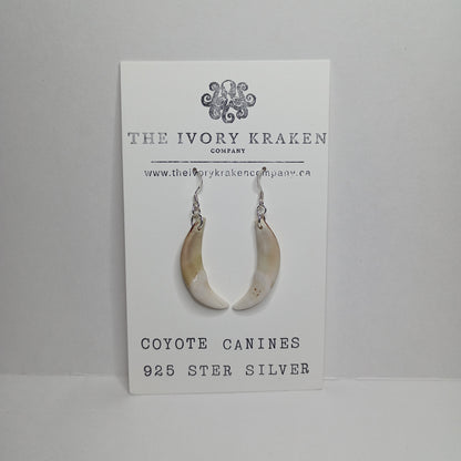 Coyote Canines - A-05 - 925 sterling silver