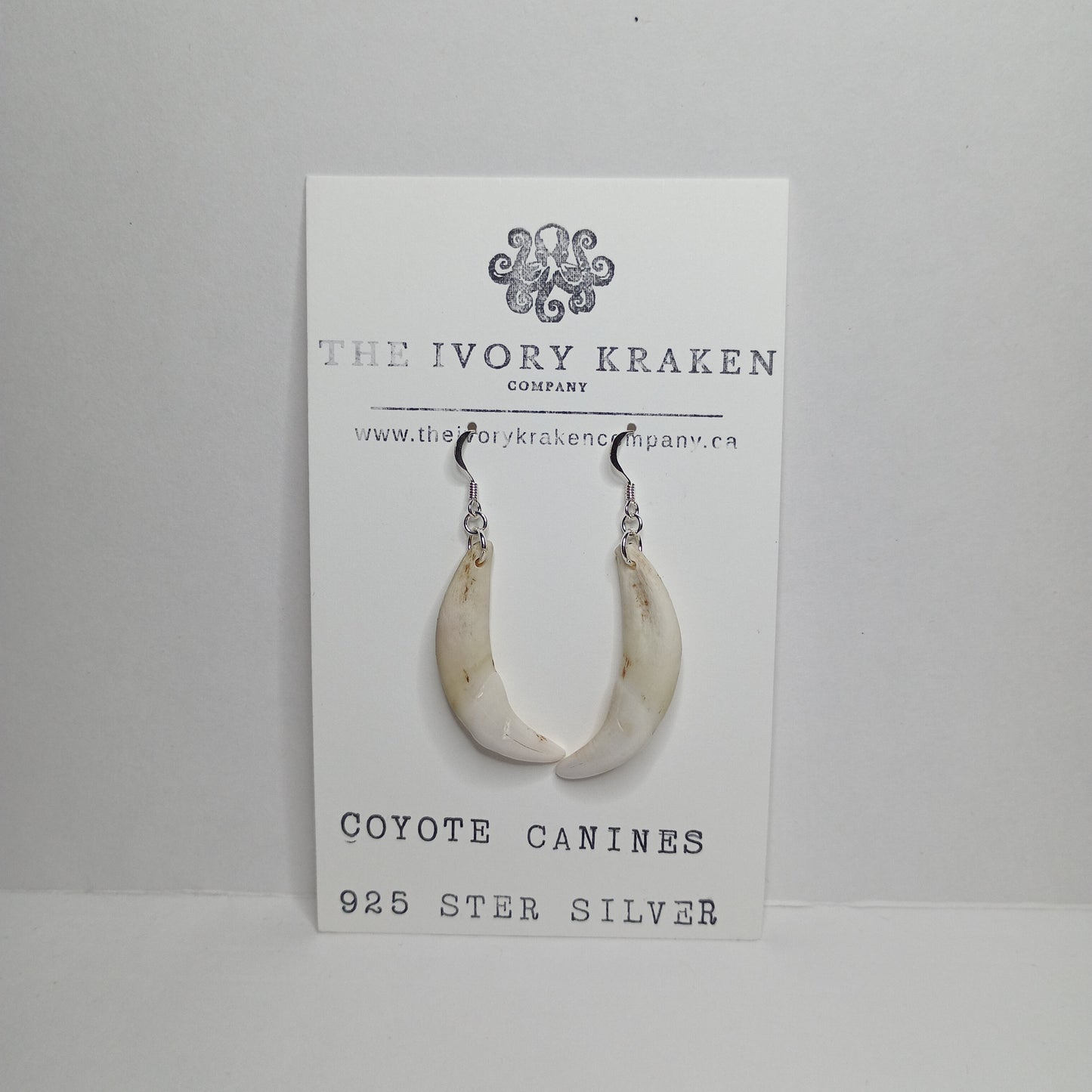 Coyote Canines - A-06 - 925 sterling silver