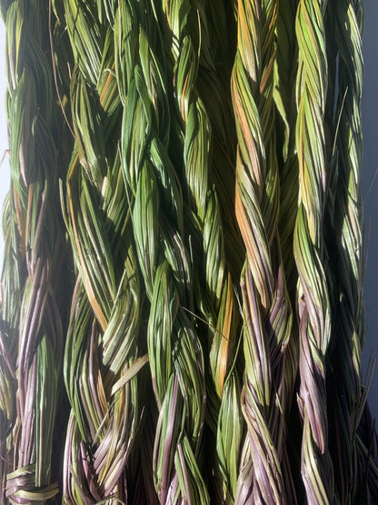 Sweetgrass