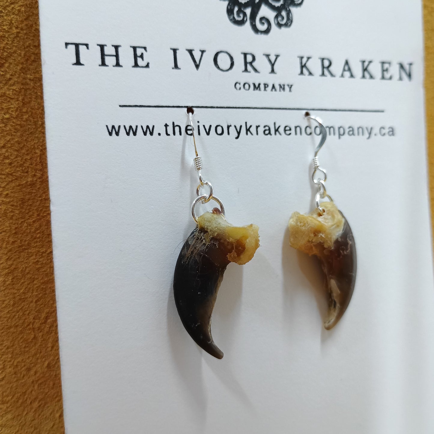 Wolf Claw Earrings - 925 Sterling Silver (A)