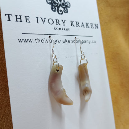 Wolf Tooth Earrings - 925 Sterling Silver