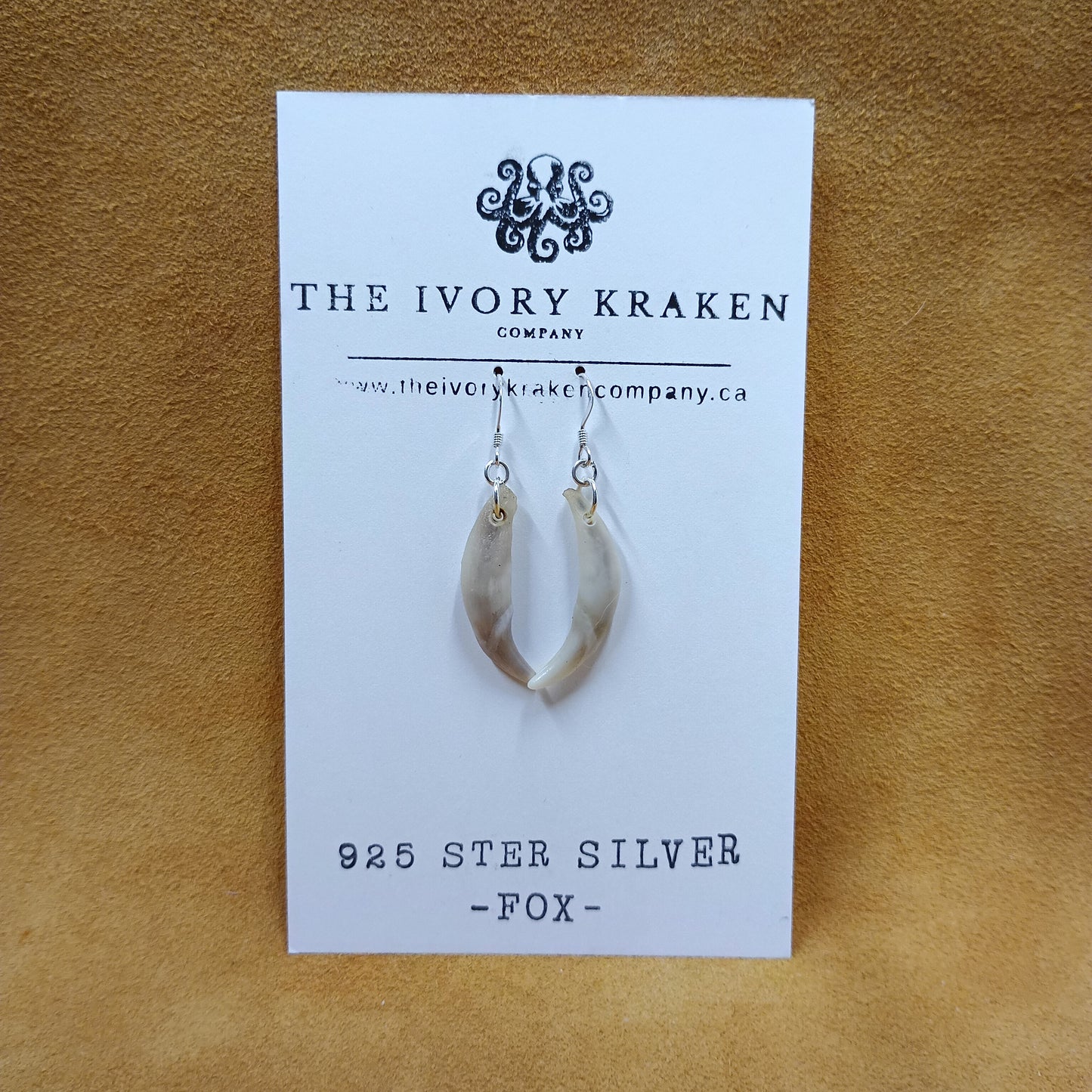 Fox Teeth Earrings - 925 Sterling Silver (A)