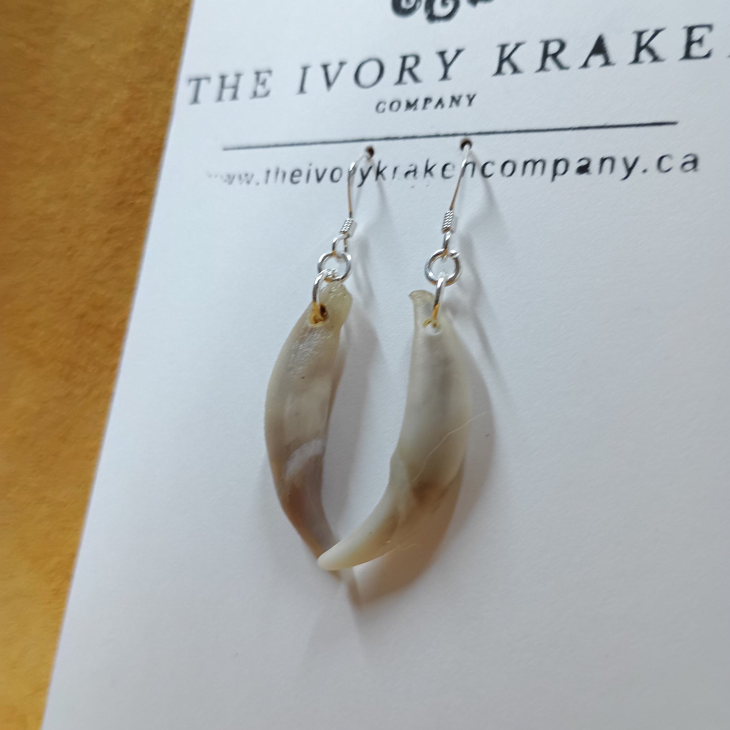 Fox Teeth Earrings - 925 Sterling Silver (A)