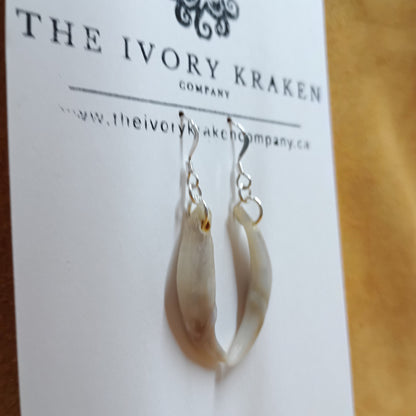 Fox Teeth Earrings - 925 Sterling Silver (A)