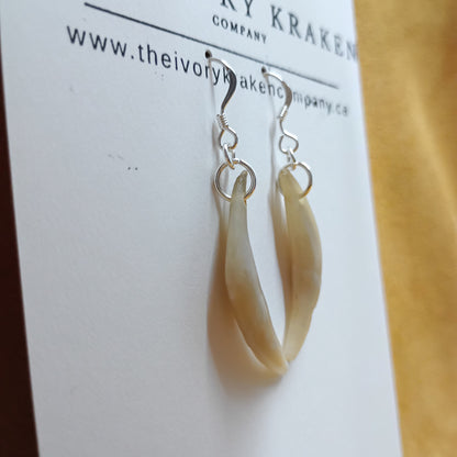 Fox Teeth Earrings - 925 Sterling Silver (B)