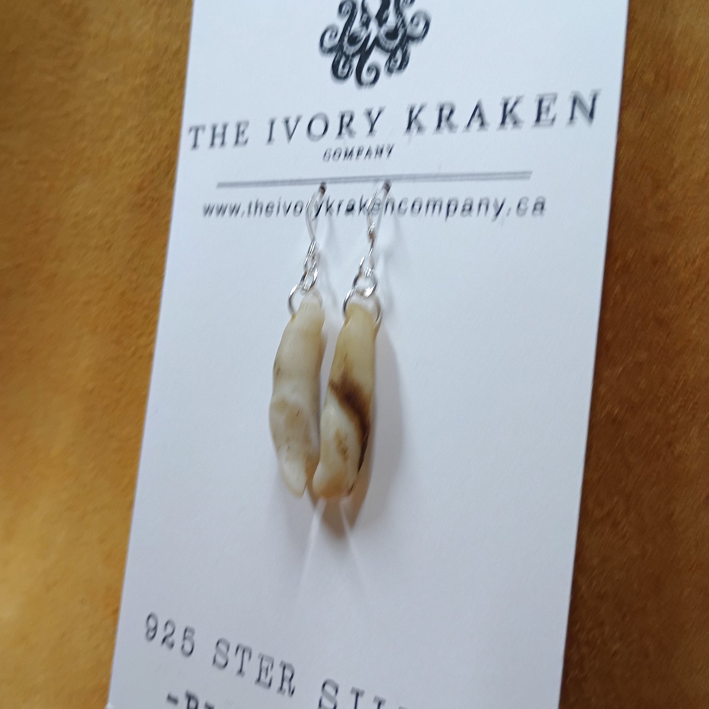 Black Bear Teeth Earrings - 925 Sterling Silver (A)