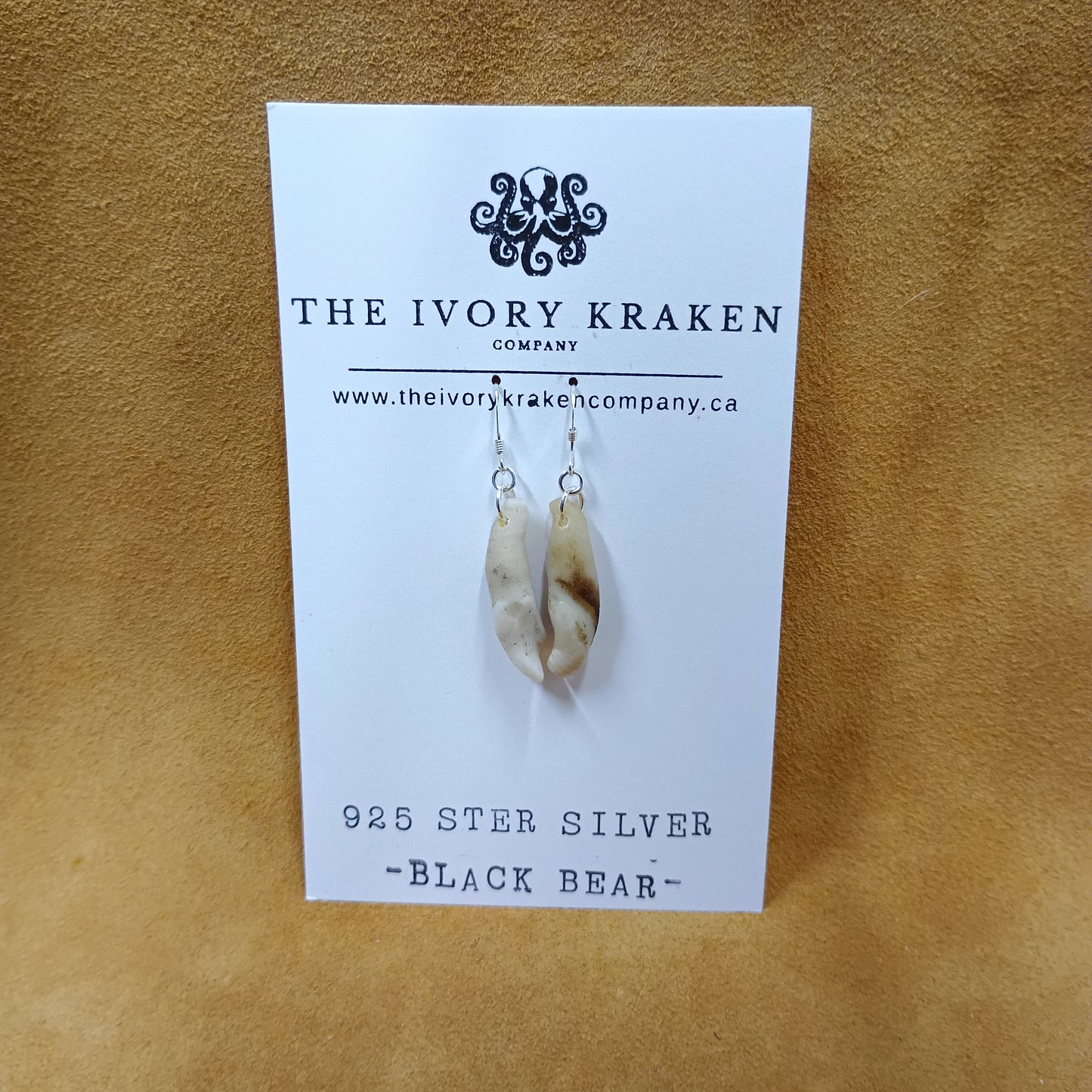 Black Bear Teeth Earrings - 925 Sterling Silver (A)