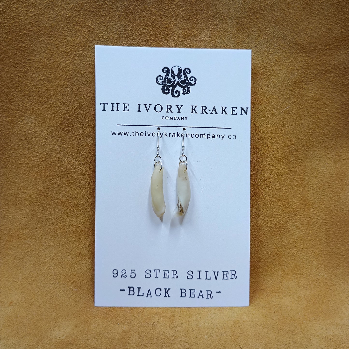 Black Bear Teeth Earrings - 925 Sterling Silver (B)