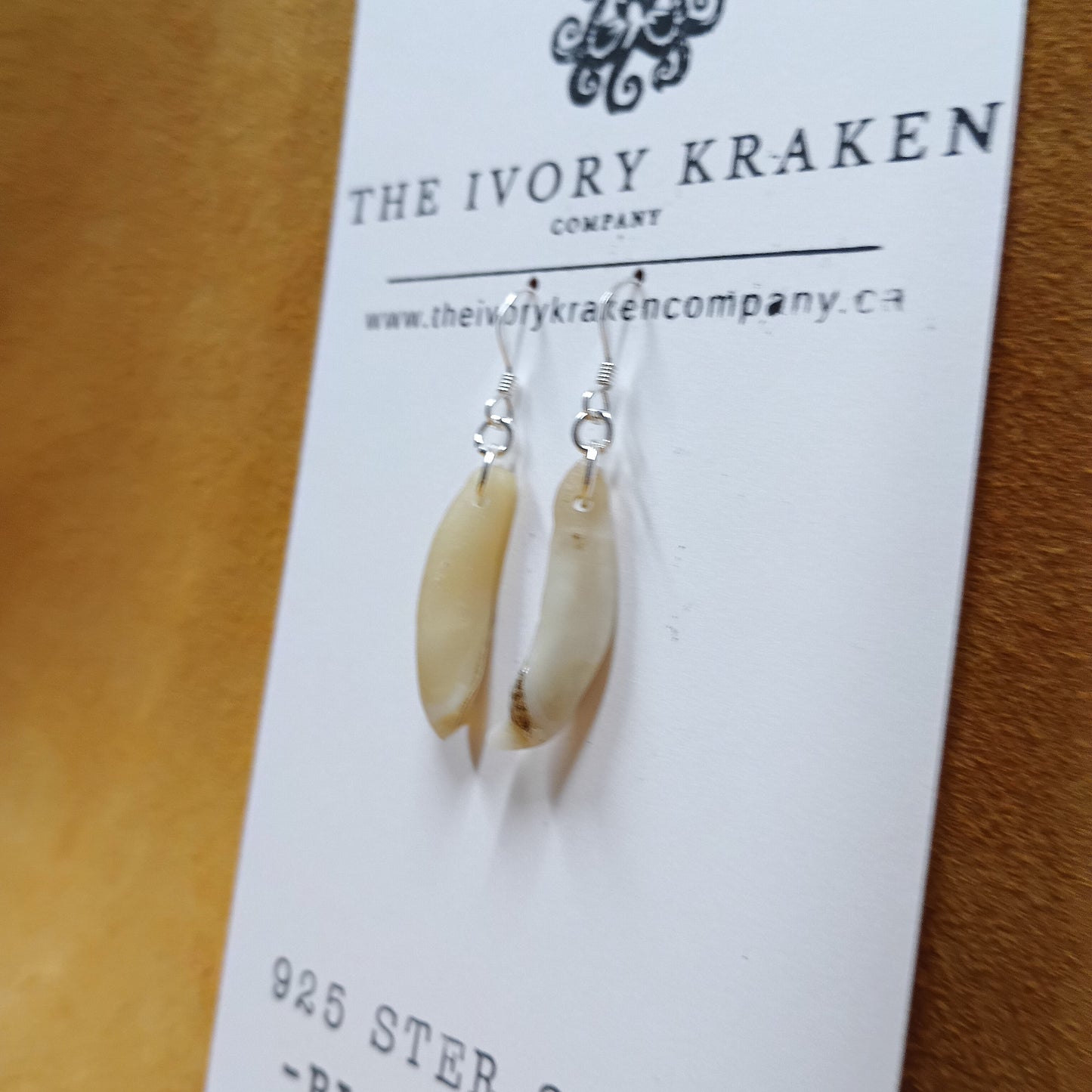 Black Bear Teeth Earrings - 925 Sterling Silver (B)