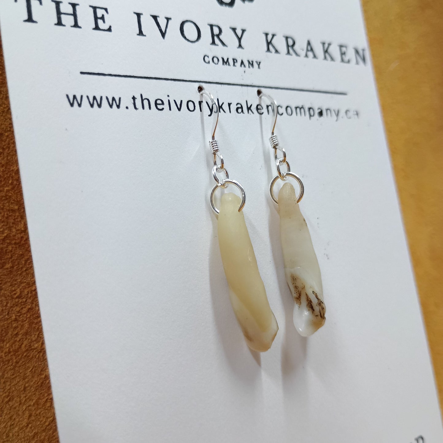 Black Bear Teeth Earrings - 925 Sterling Silver (B)