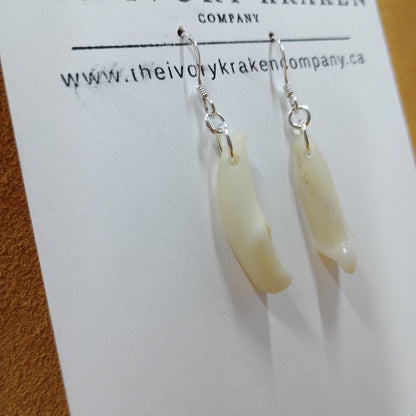 Black Bear Teeth Earrings - 925 Sterling Silver (C)