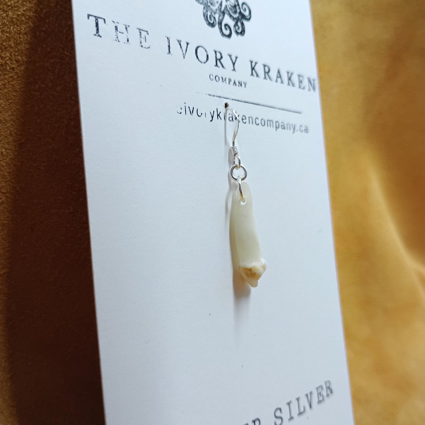 Black Bear Tooth Earring - 925 Sterling Silver (Single)