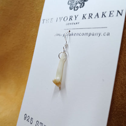 Black Bear Tooth Earring - 925 Sterling Silver (Single)