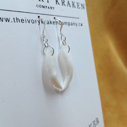 Raccoon Teeth Earrings - 925 Sterling Silver (C)