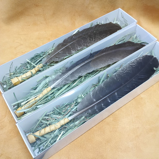 Turkey Smudge Feather