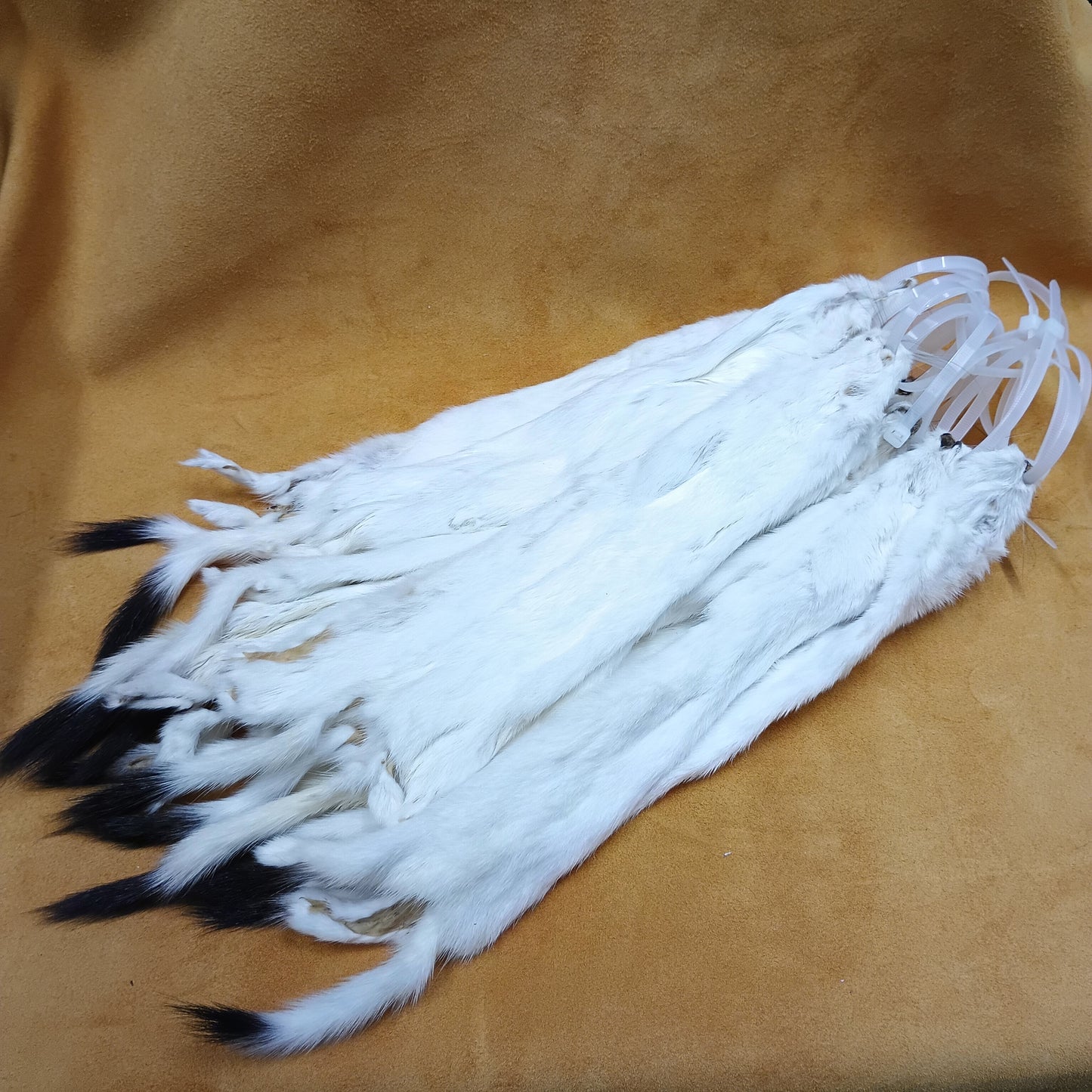 Ermine - Fur Pelt 12"