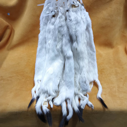 Ermine - Fur Pelt 12"