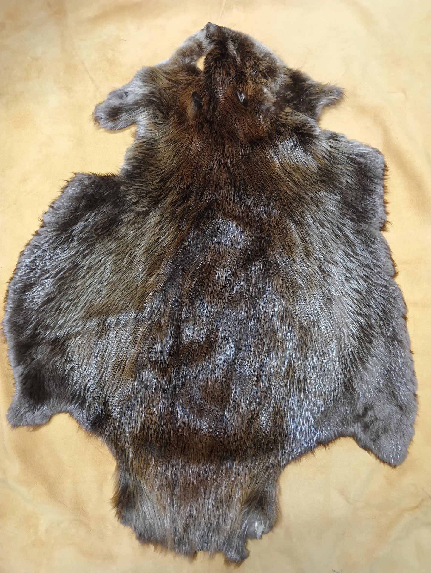 Beaver Pelt