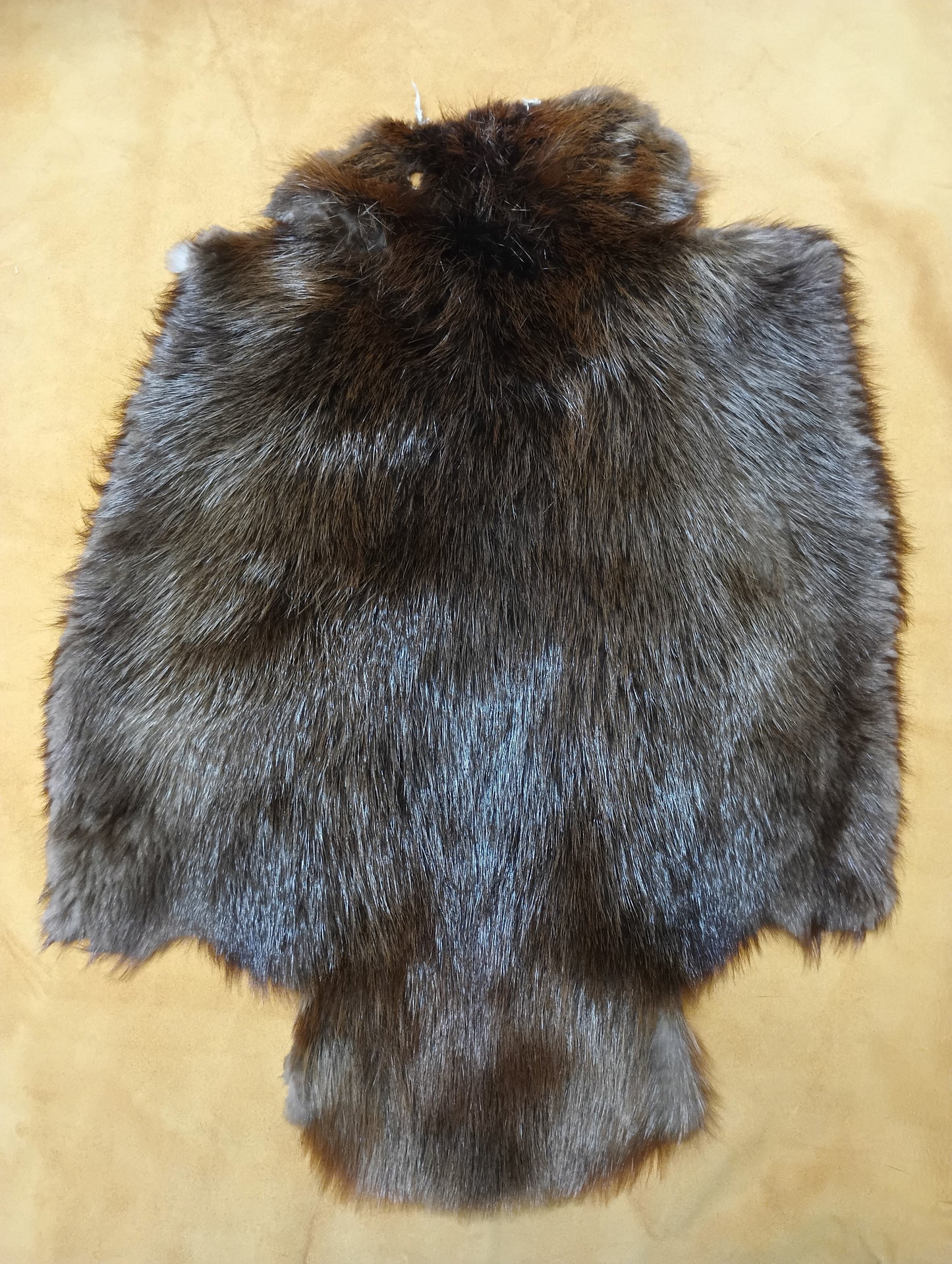 Beaver Pelt