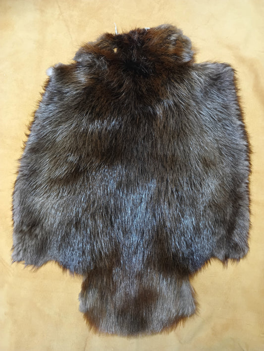 Beaver Pelt