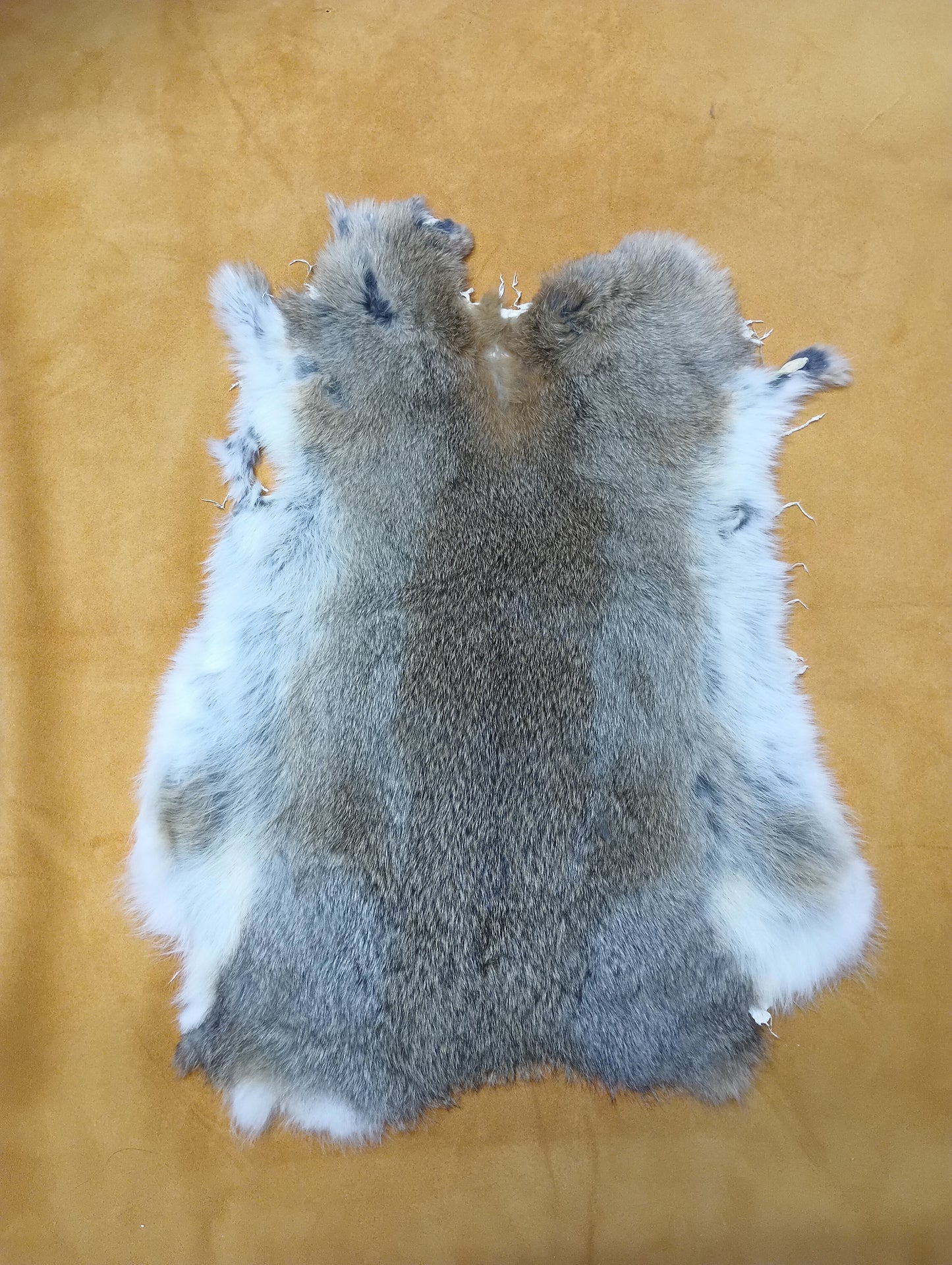 Rabbit Fur - Brown-Blonde