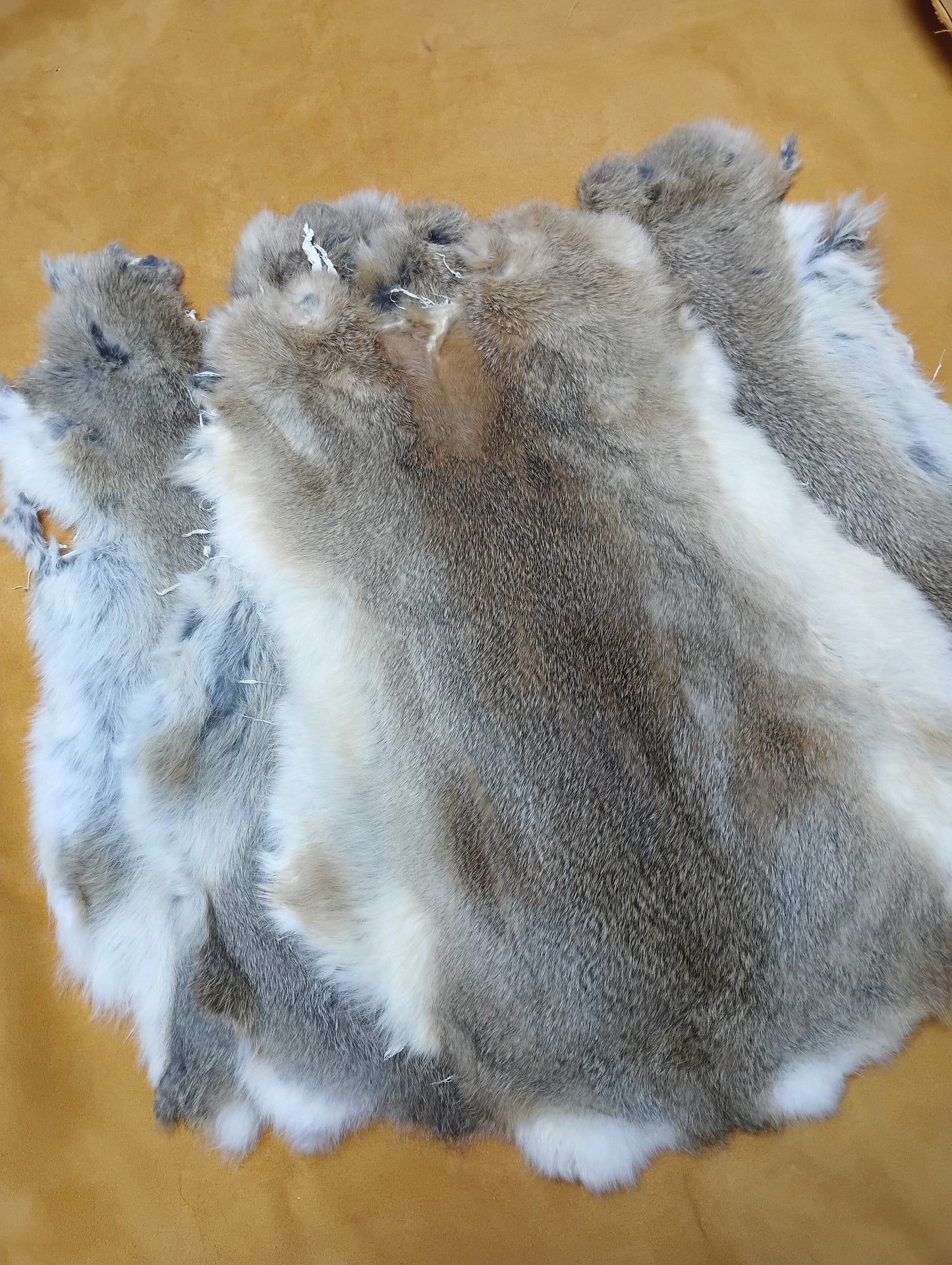 Rabbit Fur - Brown-Blonde