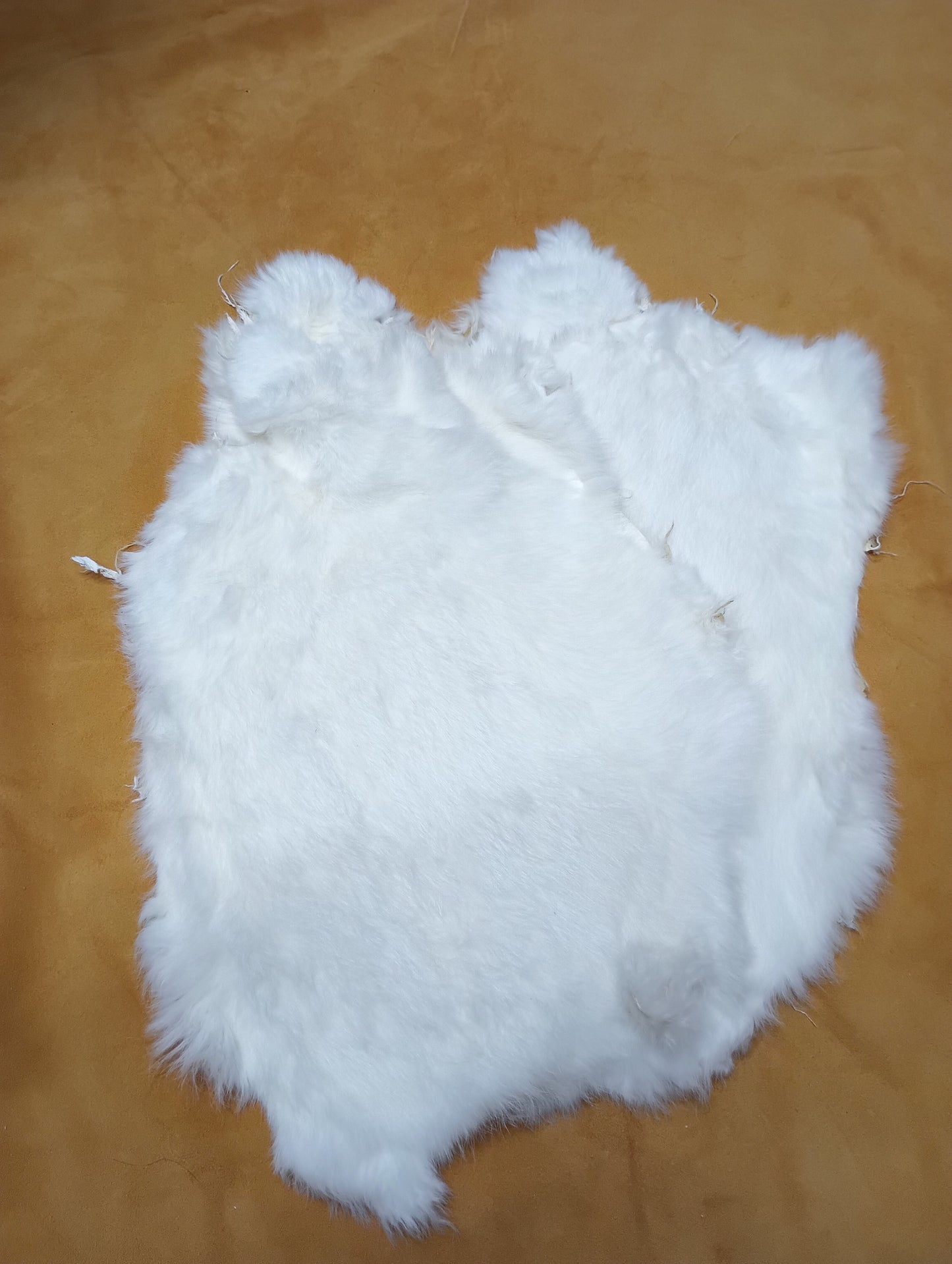 Rabbit Fur - White