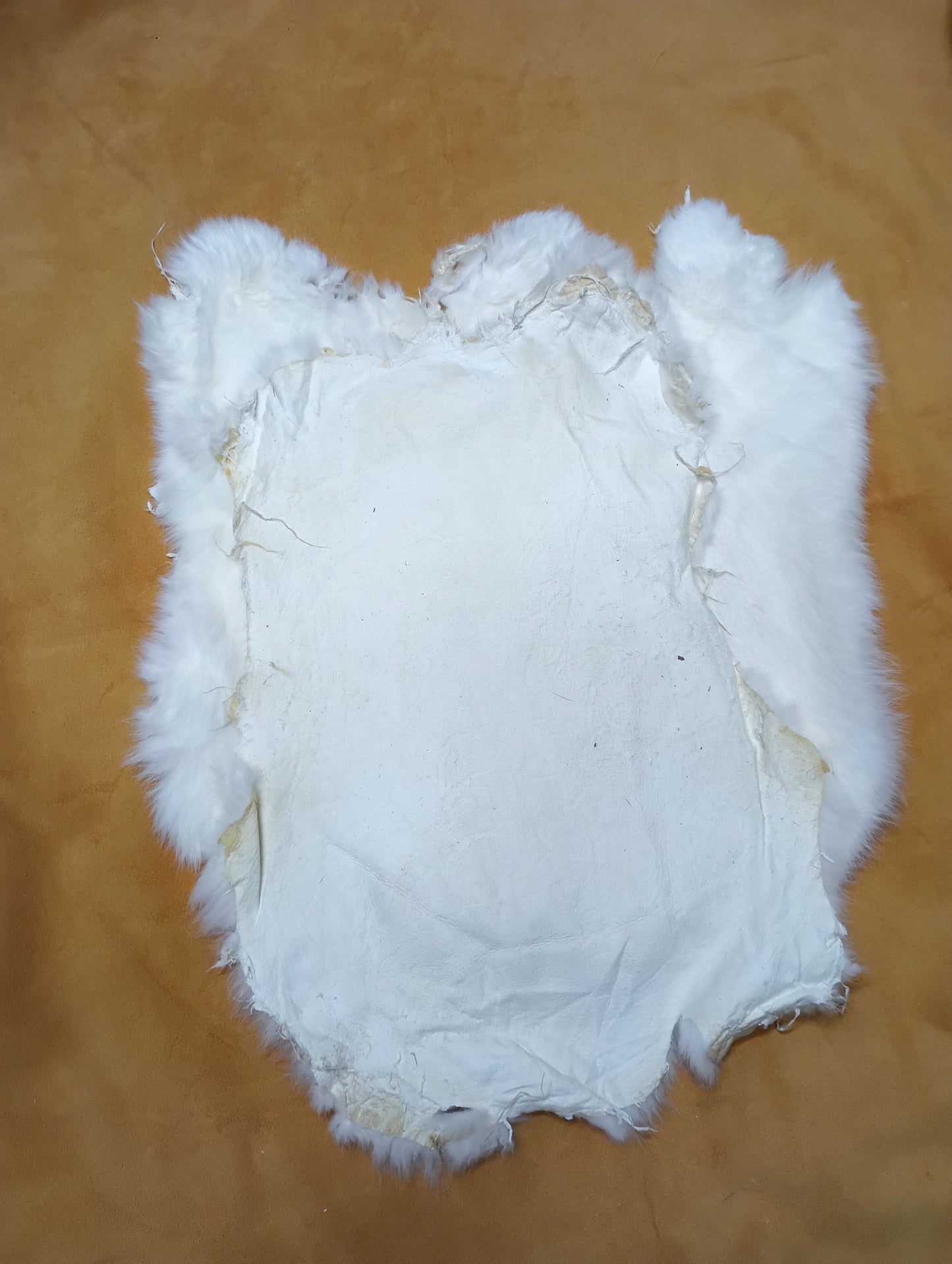 Rabbit Fur - White
