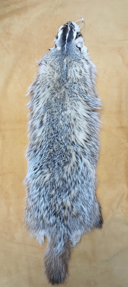 Badger Pelt