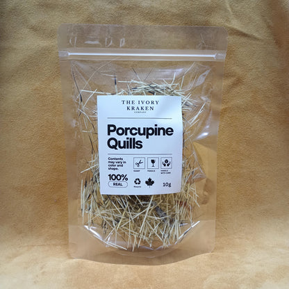 Porcupine Quills (2") - 10 grams