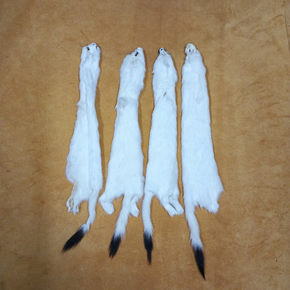 Ermine - Fur Pelt 12"