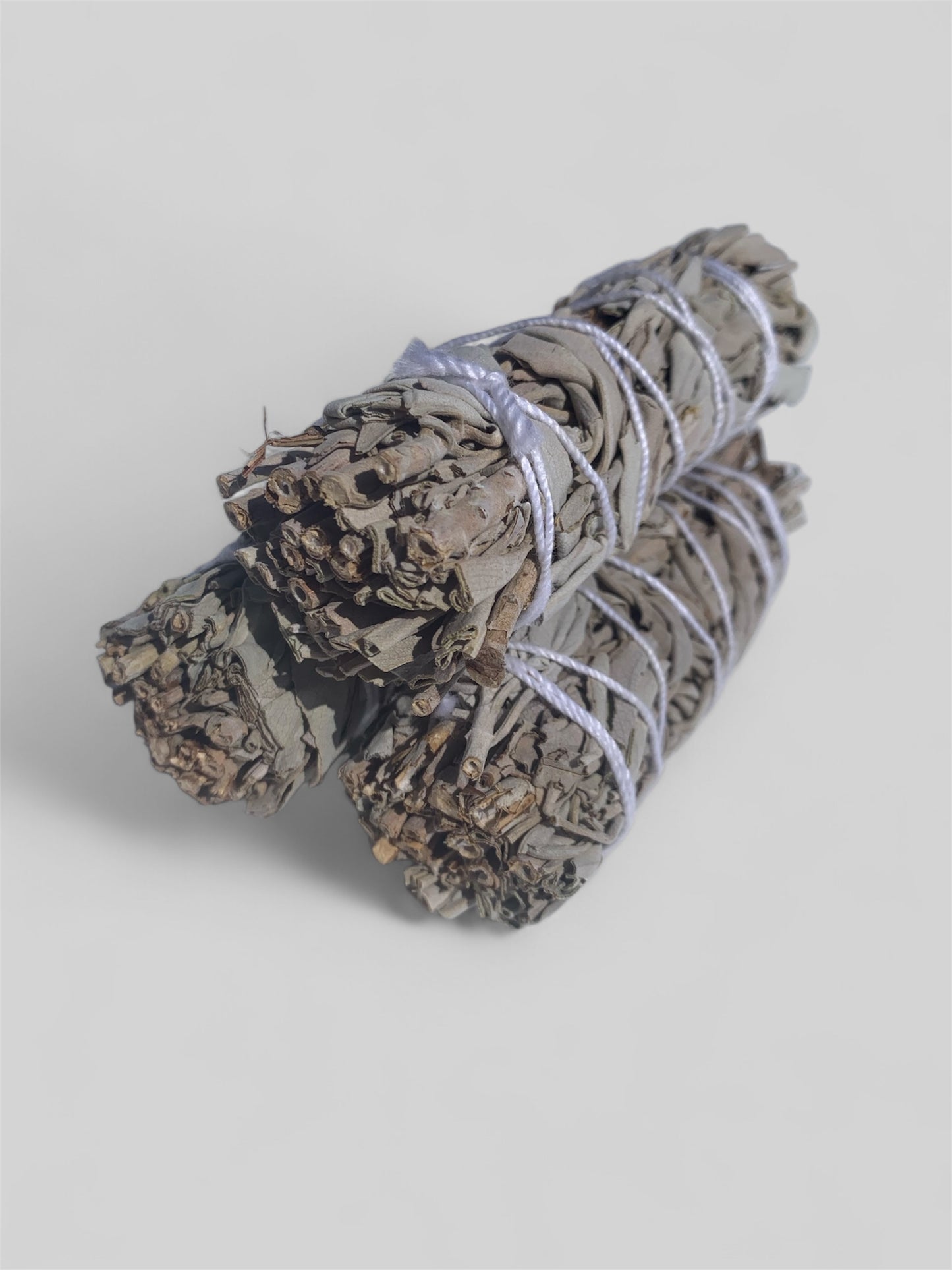 California White Sage