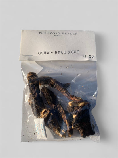 Bear Root (Osha)