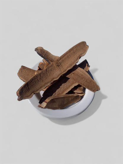 Reishi Slices