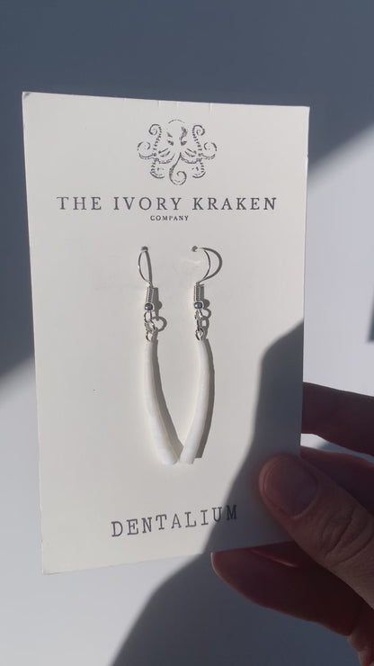 Dentalium Earrings
